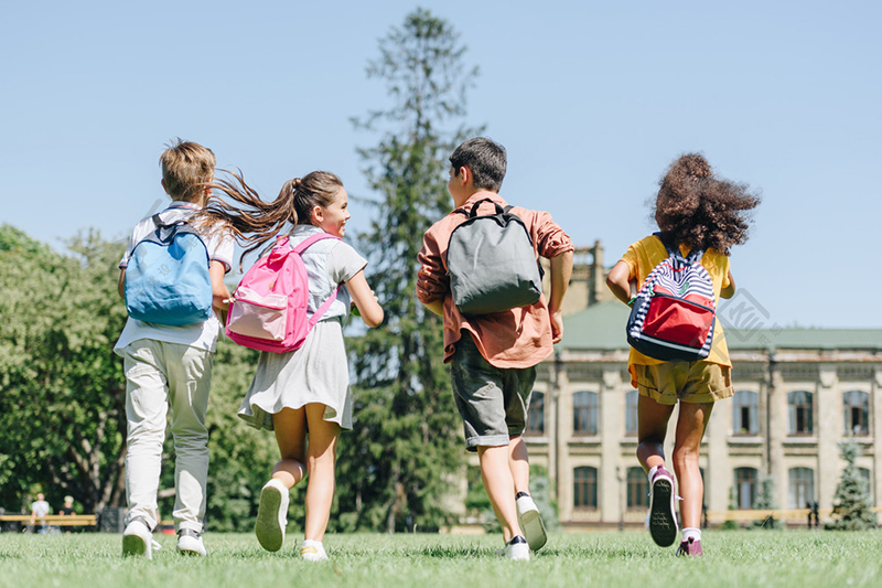 Study Tours